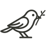 tidybird logo